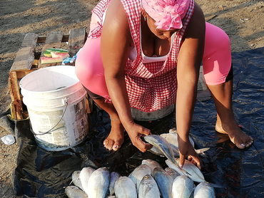 Woman cleaning fish at the Bazurto Market in Cartagena during Walk the Arts winter escape art food workshop in South America
