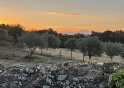 Sunset in Tuscany during Walk the Arts art retreat in Italy
