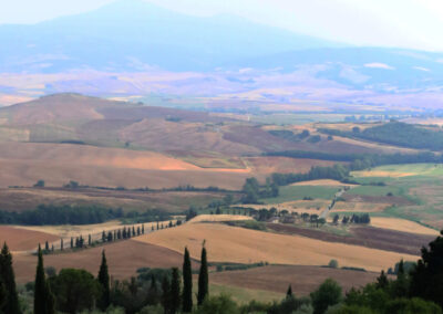 A view of the Val d'Orcia a photo taken during Walk the Arts art workshops in Tuscany
