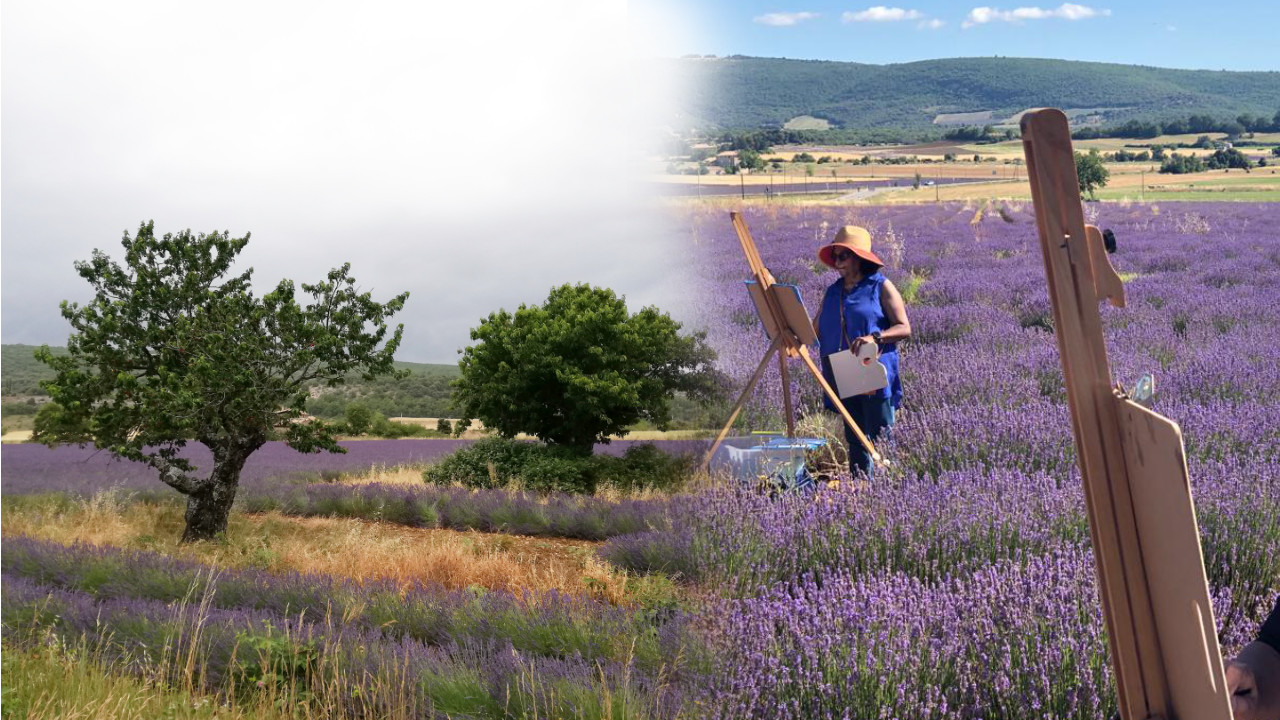 Painting Italy France Art Retreat Tuscany Provence 2023